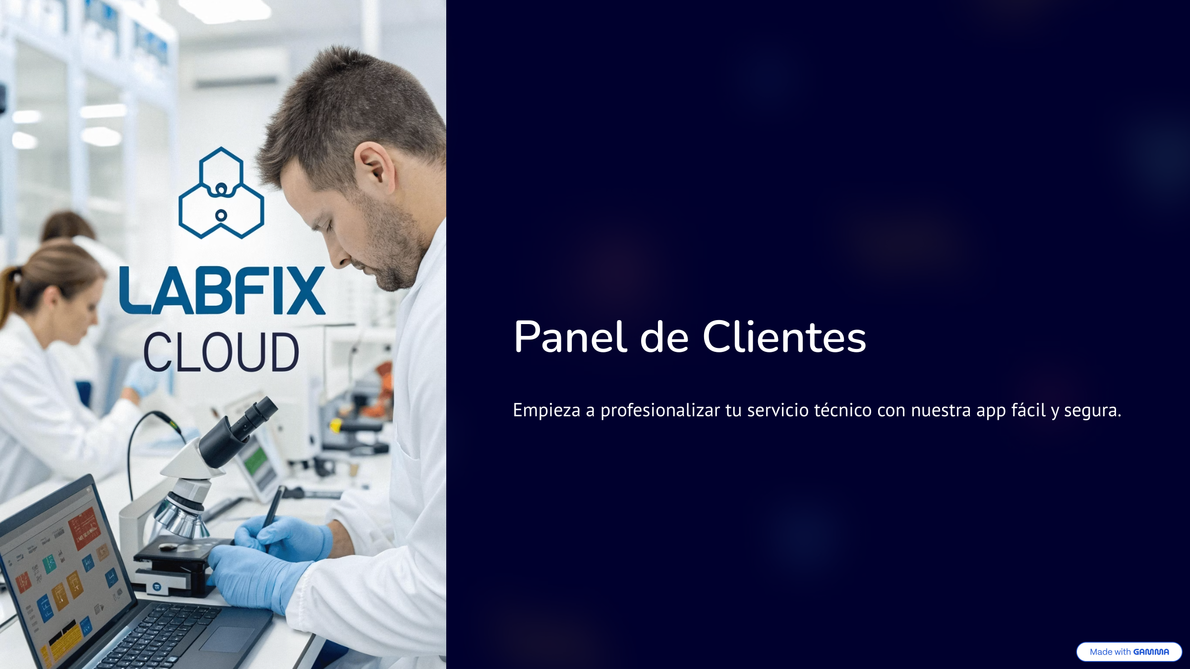 Panel de Clientes